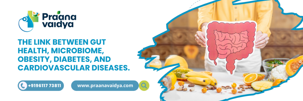 The Link Between Gut Health, Microbiome, Obesity, Diabetes, and cardiovascular diseases.